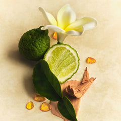 Scent Layering Trio - Classic Pick